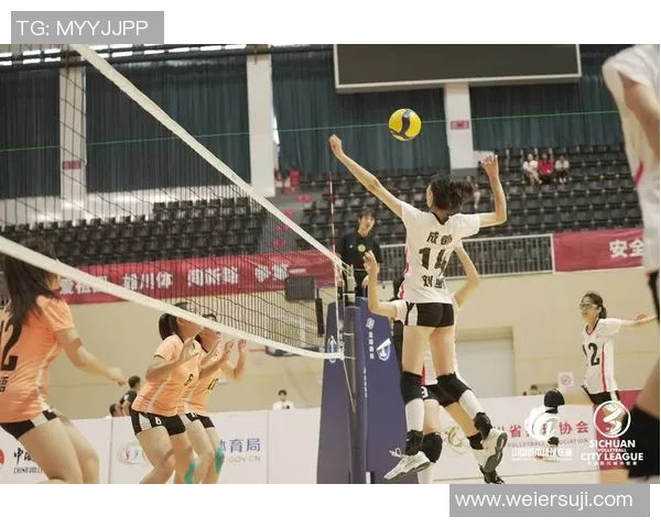 成都排球队在全国排球节奏排行榜中荣获第五名展现出强劲实力与团队合作精神
